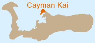 Properties of Cayman